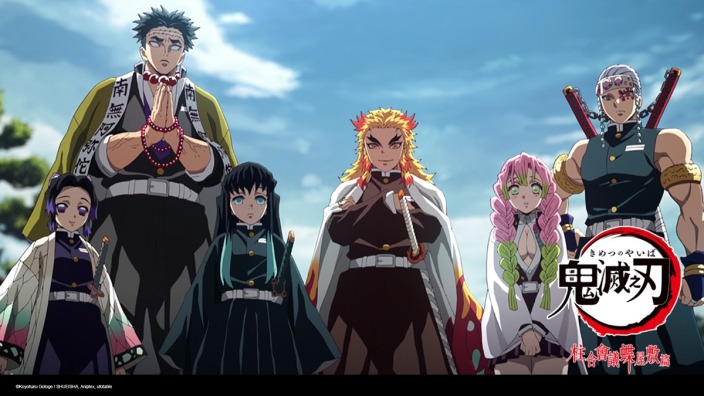 Demon Slayer: Kimetsu no Yaiba THE HASHIRA MEETING ARC